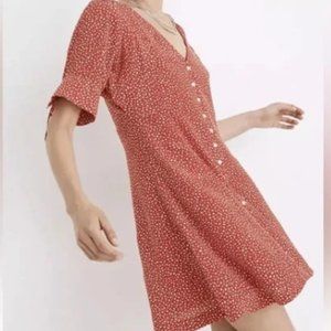 Madewell Silk Button-Front Mini Dress in Park Picnic (Size 4)
